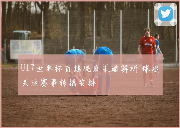 U17世界杯直播观看渠道解析 球迷关注赛事转播安排