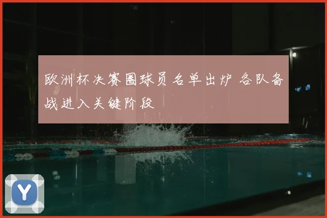 欧洲杯决赛圈球员名单出炉 各队备战进入关键阶段