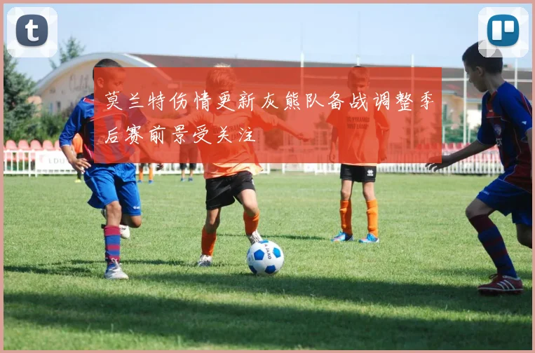 莫兰特伤情更新灰熊队备战调整季后赛前景受关注