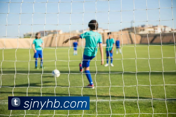 世界杯开户平台平台生态图